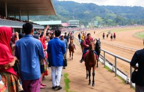 Bandar Judi taruhan balap kuda Terpercaya